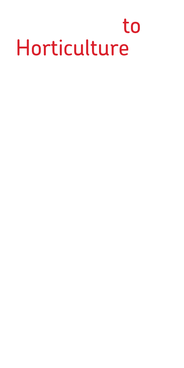 Royal Mail text asset